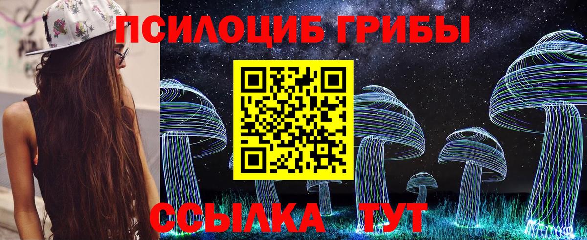 Псилоцибиновые грибы MAGIC MUSHROOMS Кириши