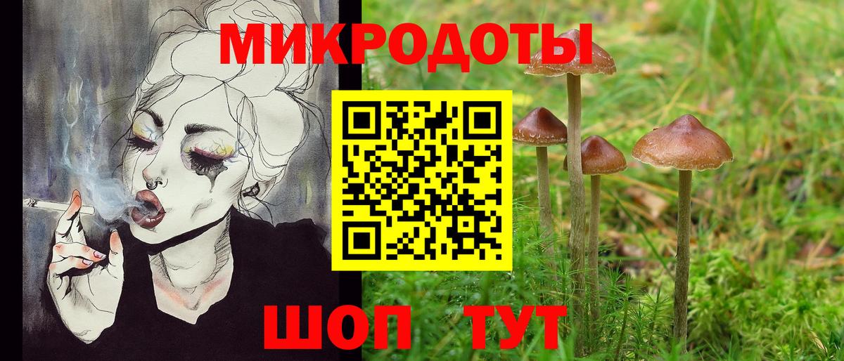Кириши  Псилоцибиновые грибы Psilocybe  Вход с VPN  Псилоцибиновые грибы мухоморы 